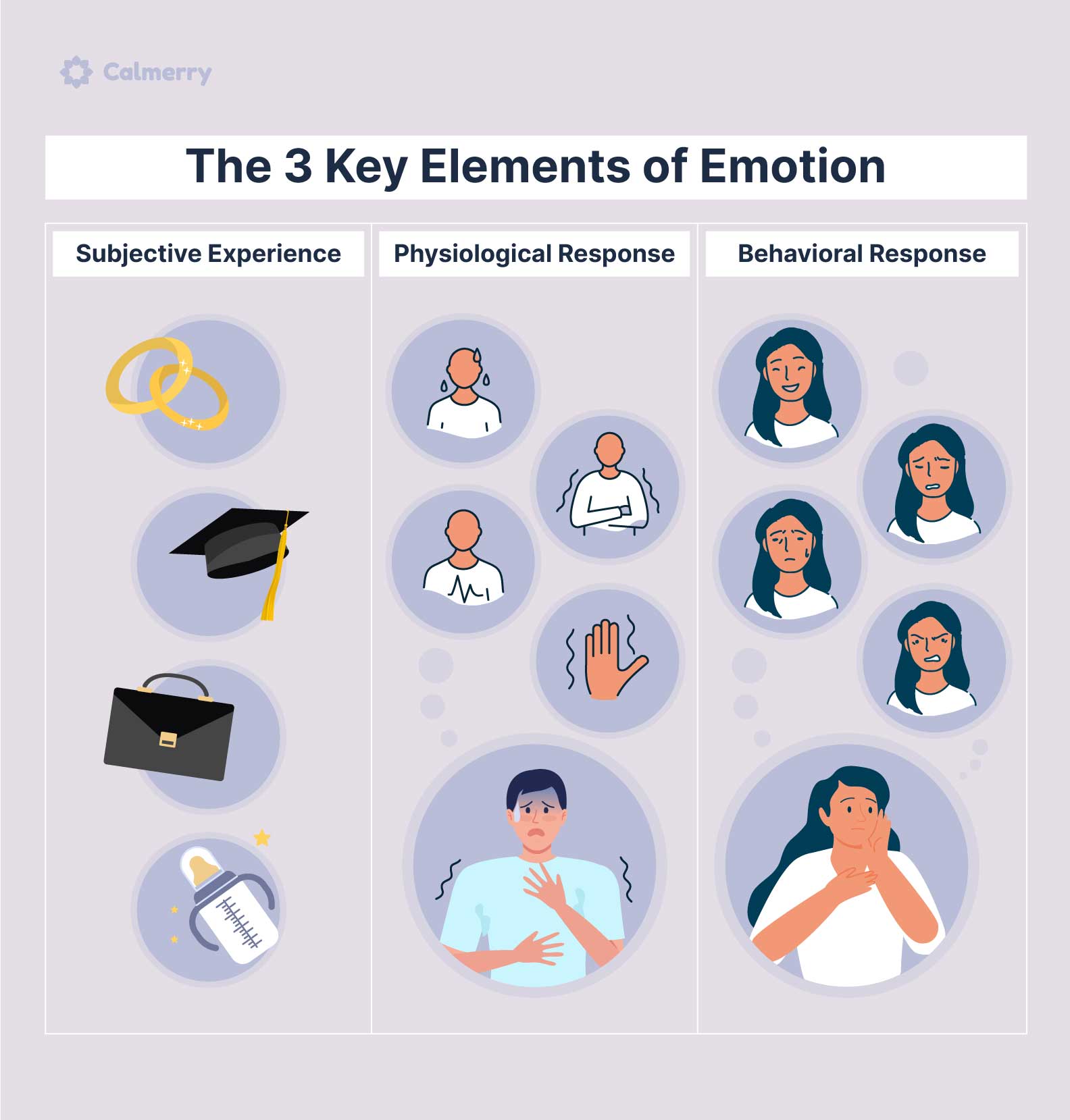 3 key elements of emotion