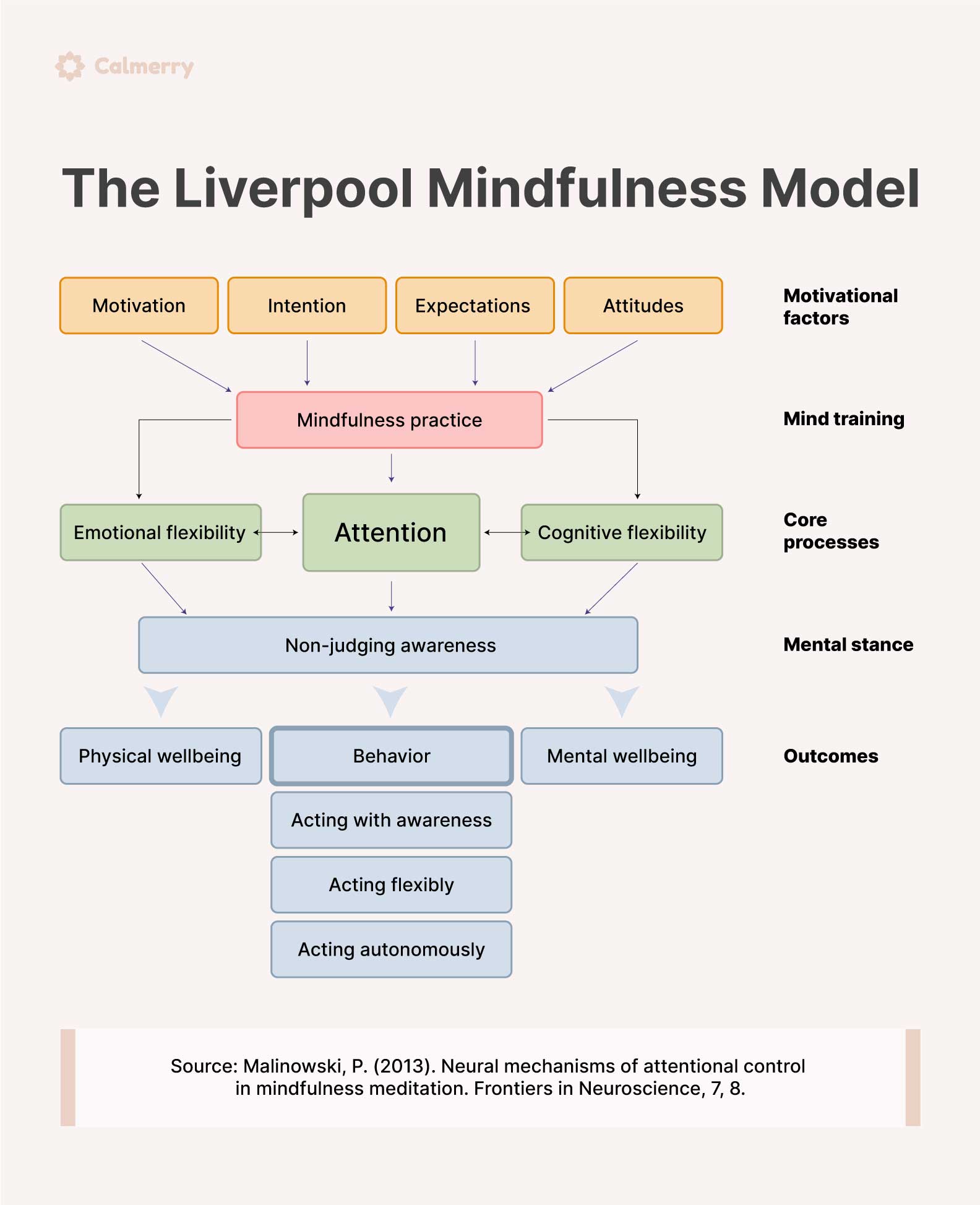 What Is Mindfulness? Everything You Should Know