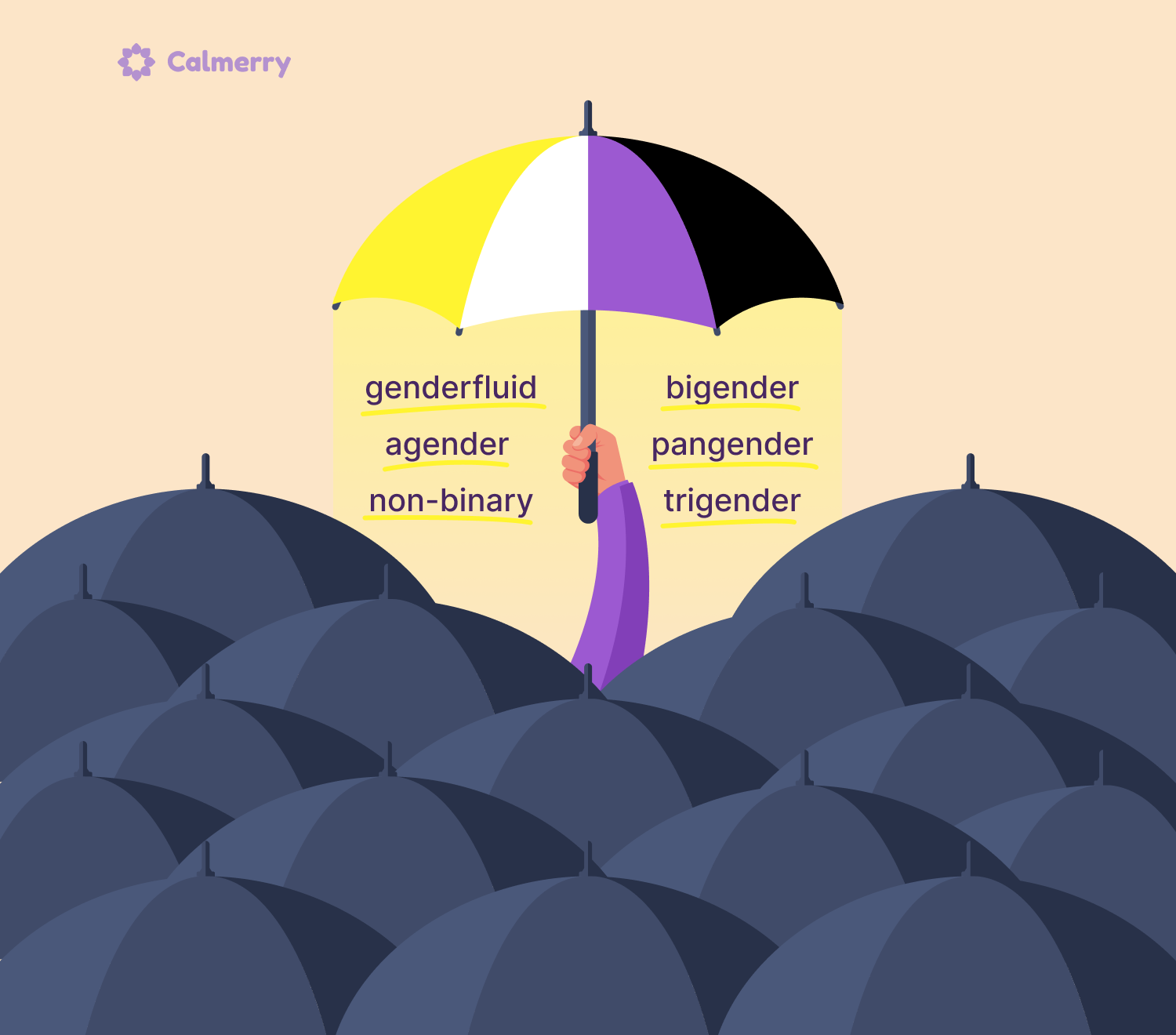 On The Trans/Nonbinary Umbrella